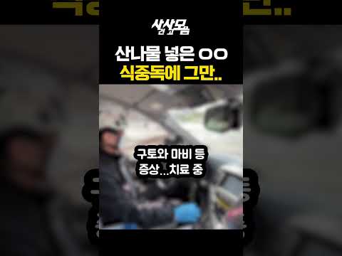 산나물 넣은 OO먹고 어르신들 그만 쓰러져 응급실행ㅣ#사사모 #헬로tv뉴스