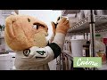 Iowa Wild & Creme