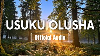 Amapiano Sound - Usuku Olusha [Official Audio]