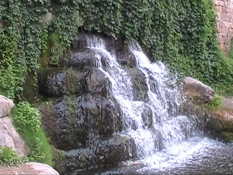 Белая церковь. Дендропарк "Александрия". The Arboretum Alexandria.