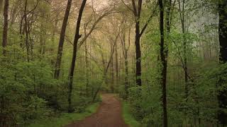Scenes from Summit Metro Parks - Episode 2