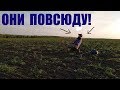 ВОЛОСЫ ВСТАЛИ ДЫБОМ ОТКУДА ЭТО В ПОЛЕ!!!