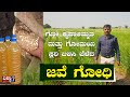 Go Krupa Amrutam | ಜವೆ ಗೋದಿ |  #vishwa7media #organicfarming #food