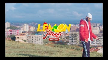 Danytox Intronix - Lemon Pepper Freestyle {Official Video}