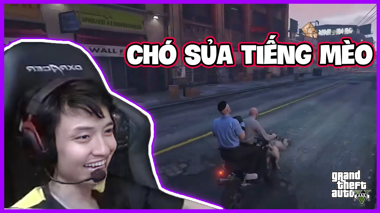 GTA RP | Huy trọc gặp gỡ cảnh khuyển real | Mixi City - youtube