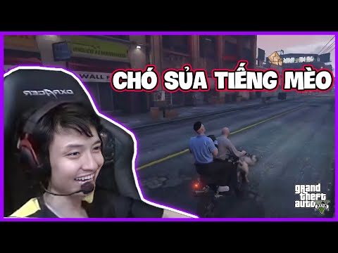Video GTA RP | Huy trọc gặp gỡ cảnh khuyển real | Mixi City - youtube