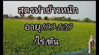 หลักการทํานาอายุยาวให้ได้ผลผลิต1ตัน