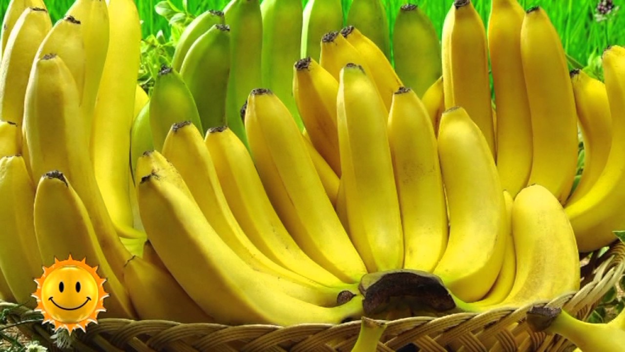 Бананы спасут от бессонницы. (12.01.16)