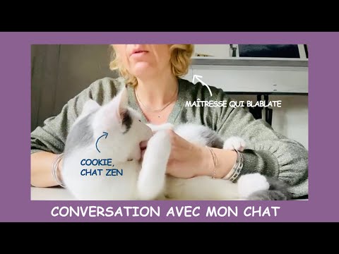 Conversation avec mon chat - Chat 17