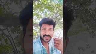তুমি প্রথম দেখাতেই আমার এই মনটা নিয়েছে #video #song