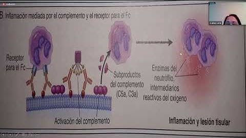 Anatomía Patológica - Clase 38