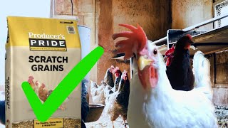 Solving Tractor Supply Chicken Feed Problem in 2 Minutes
