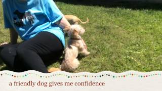 Martigan, An Adoptable Dog