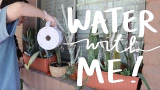 Water My Plants with Me! | My Houseplant Watering Routine