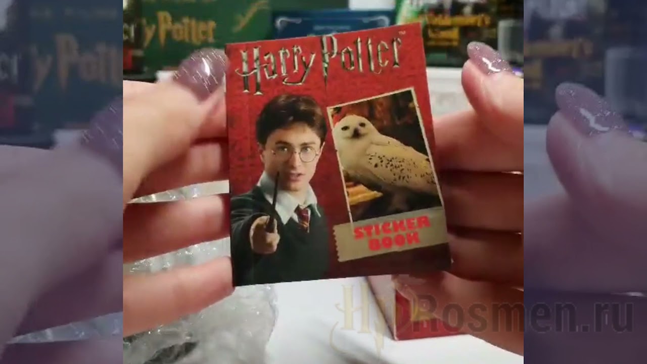 Harry Potter Hedwig Owl Kit and Sticker Book / Сова Букля Хедвиг и