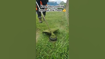 How to cut down long grass with a string trimmer / strimmer / weed whacker  #shorts #diy #gardening
