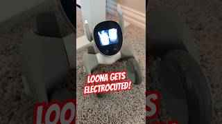 LOONA ROBOT GETS ELECTROCUTED! @EricsTechWorld