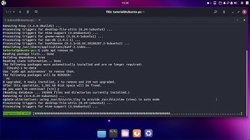 Linux CLI - online installing Ubuntu APPs with apt-get (apt)