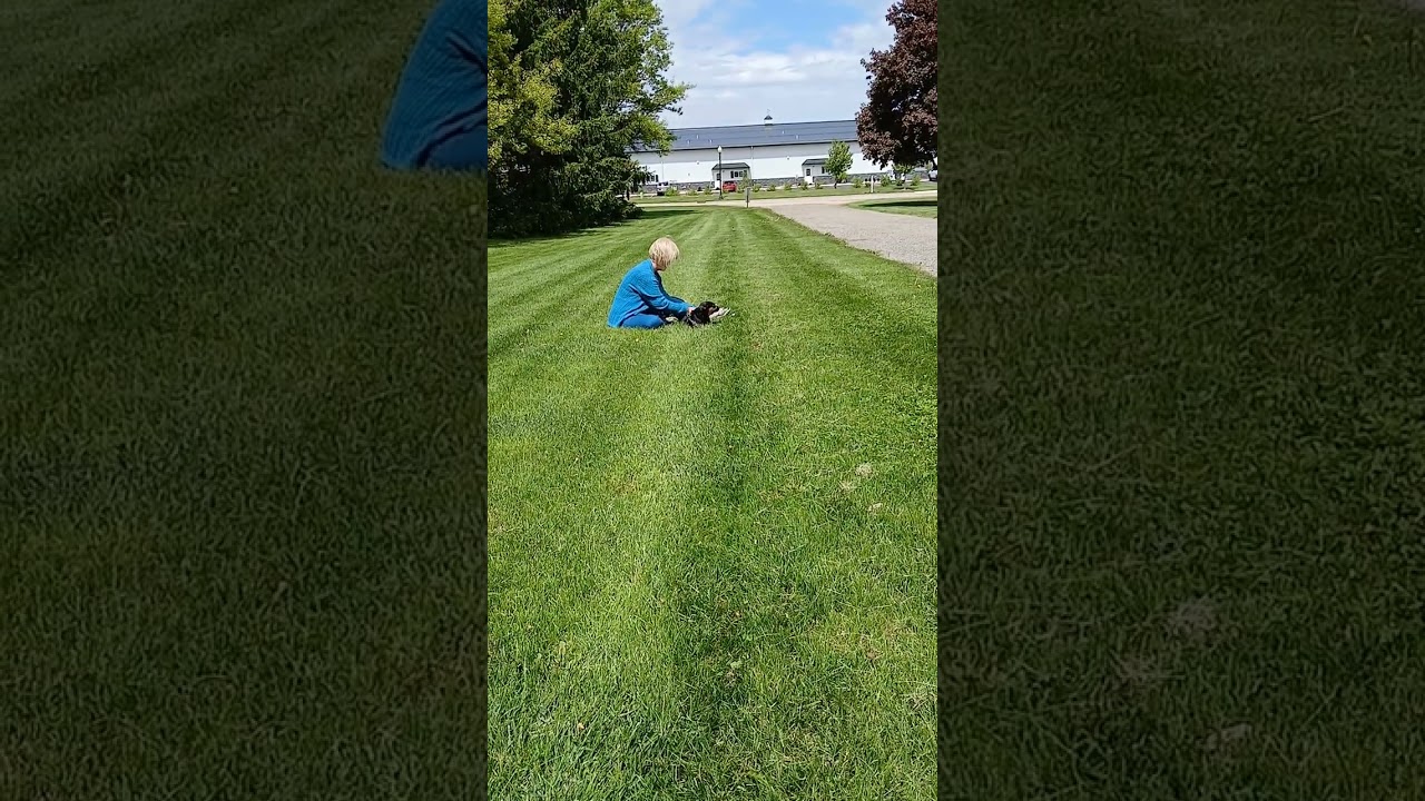 All Videos