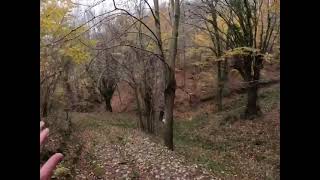 Hamit Özcan- Çulluk Avı Güzel Atış Iyi Seyirler