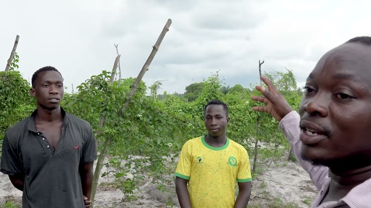 AfCTA Documentary – 12 April 2025