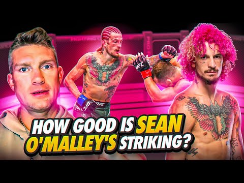 WHY Sean O'Malley