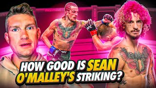 WHY Sean O'Malley Is One Of The UFC's BEST STRIKERS! | UFC 292