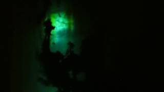 Electrochemical Show 1210503