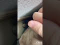 かばんの裏からガザガサ音がすると思ったら…😱【#shorts】