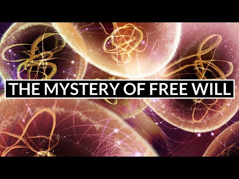 Does The Universe Allow Free Will?