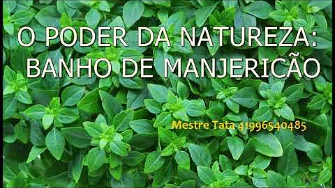Qual o significado do banho de manjericão?
