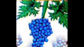 Przypal-Dedeka,Solnik,Czekson,Shaman.wmv