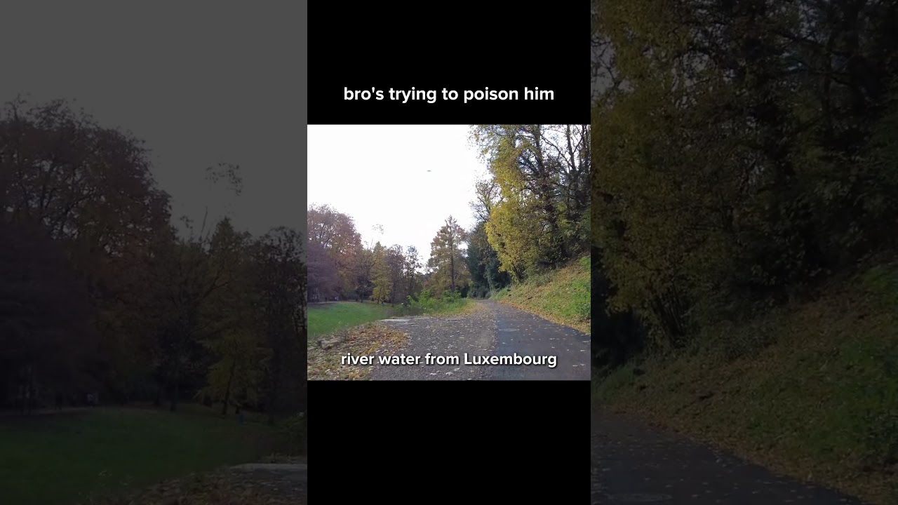 #memes #funny #luxembourg
