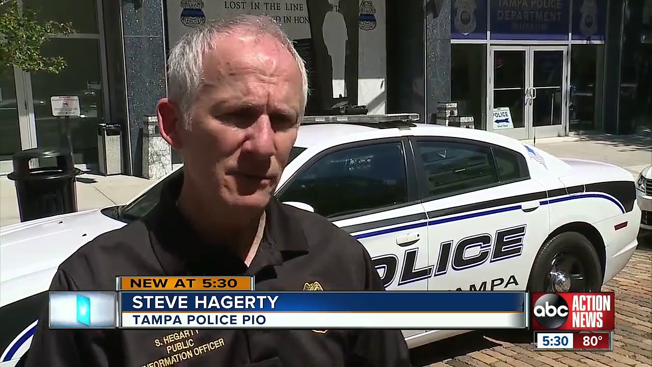 Tampa Police investigate trend of airbags being stolen out of cars