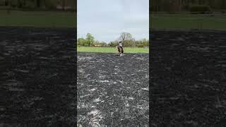 Ad ref 276019 Video 2