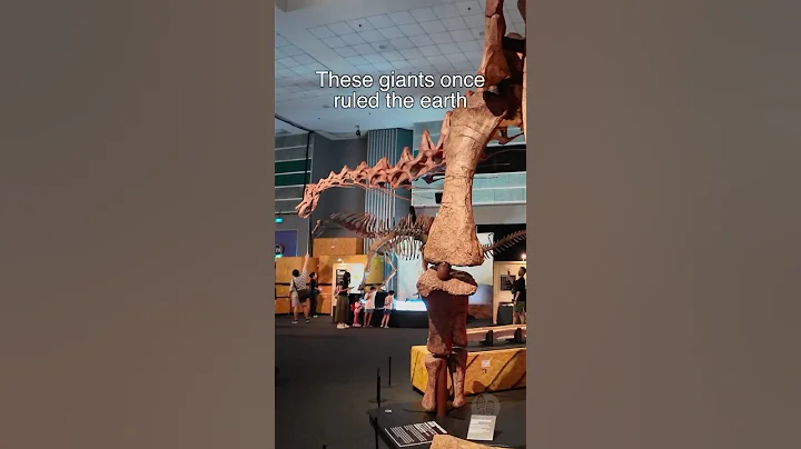🦕 40-Metre Dinosaur at Science Centre Singapore