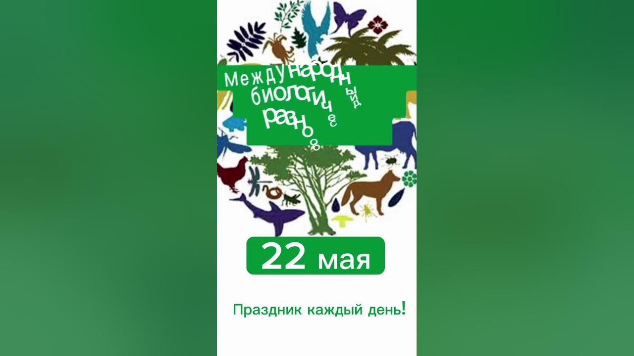 Международный день биологического разнообразия 22 мая сообщение. 22 - международный день биологического разнообразия. 22 мая день биоразнообразия. 23 мая - международный день биологического разнообразия. международный день биологического разнообразия 22 май.
