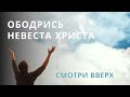 ‼️🕊️Ободрись Невеста Христа. Смотри вверх