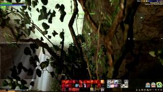 Archeage / Картограф Махадеби / Найти дерево в пещере Белых птиц