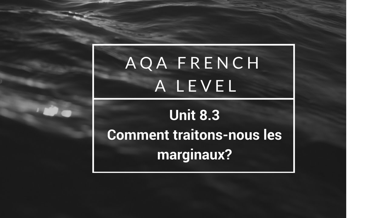 FRENCH A LEVEL AQA MODULE 8.3 Comment traitons nous les marginaux