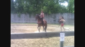 Cavallo Equestrian Arts - Olissio Zoppe and Ashley Vargas - Ma