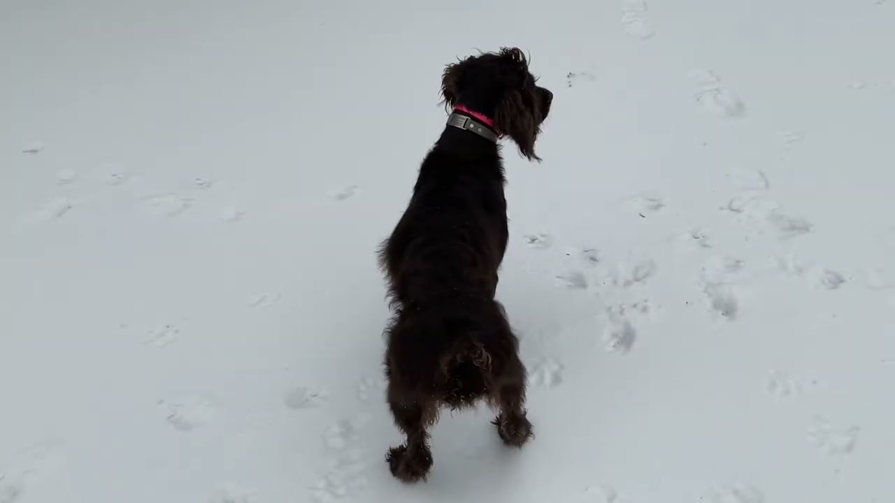 First snow/ice of 2026