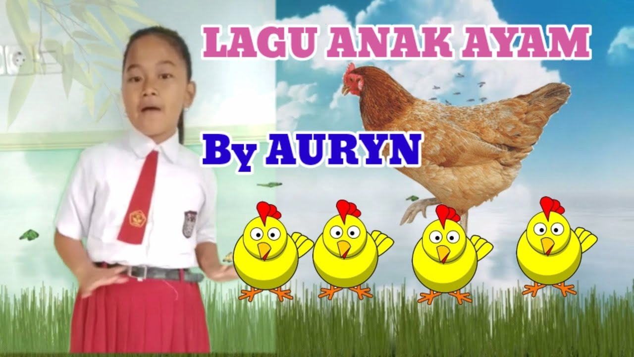 Lagu Anak  Ayam Cover  by Auryn YouTube