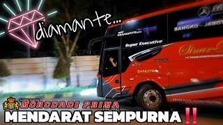 Download lagu PERFECTLY MOTTED, SINAR DEMPO DIAMANTE ARRIVES IN SUMATERA‼️Trio of DAMRI Wonosobo Double-Decker ...