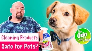 Are Cleaning Products Safe for Pets?