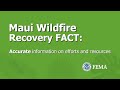 Maui Wildfire Recovery Fact: Accurate Information on Efforts and Resources