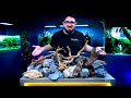 The ultimate hardscape tutorial  how to build better planted tank layouts