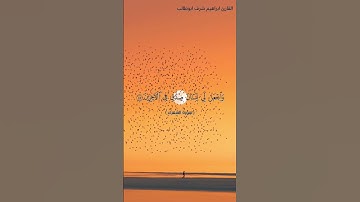 رَبِّ هَبْ لِى حُكْمًا وَأَلْحِقْنِى بِٱلصَّٰلِحِينَ /القارئ ابراهيم شرف ابوطالب