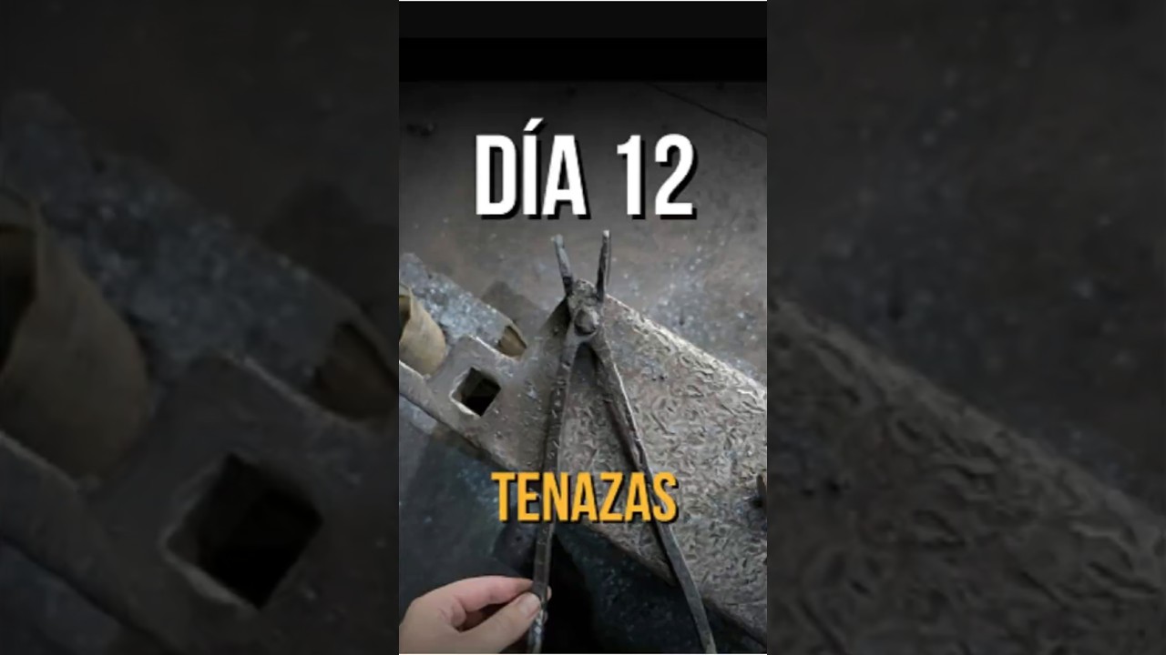 Día 12 (1) 