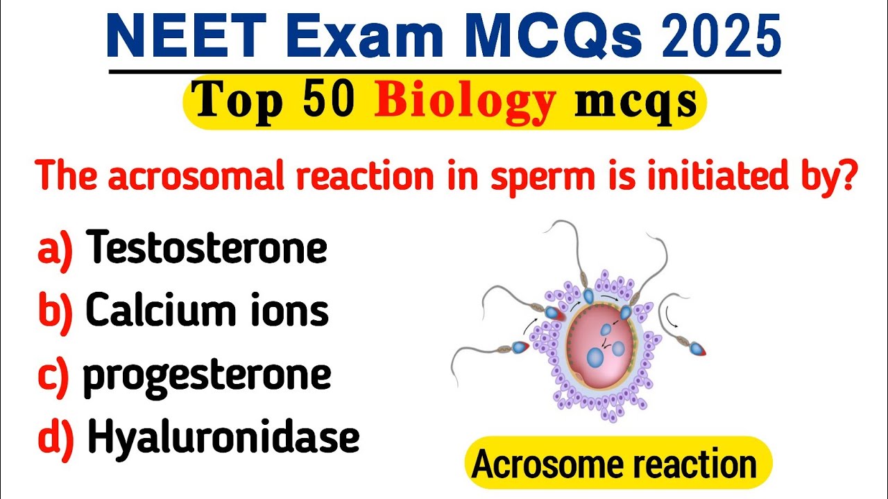 Biology MCQ 2025 | NEET Biology MCQs | MCQ of Biology for NEET | MCQ of ...